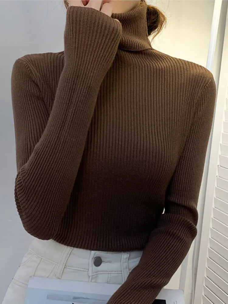 Turtleneck long sleeve Sweater Autumn