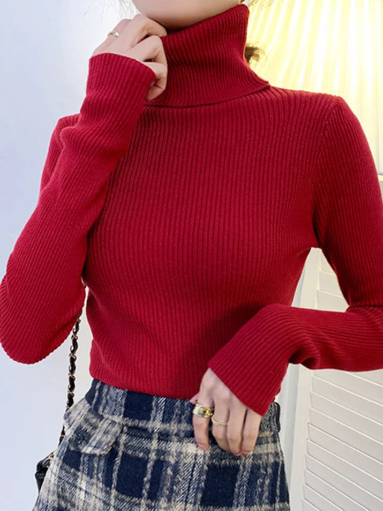 Turtleneck long sleeve Sweater Autumn