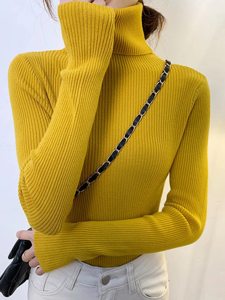 Turtleneck long sleeve Sweater Autumn