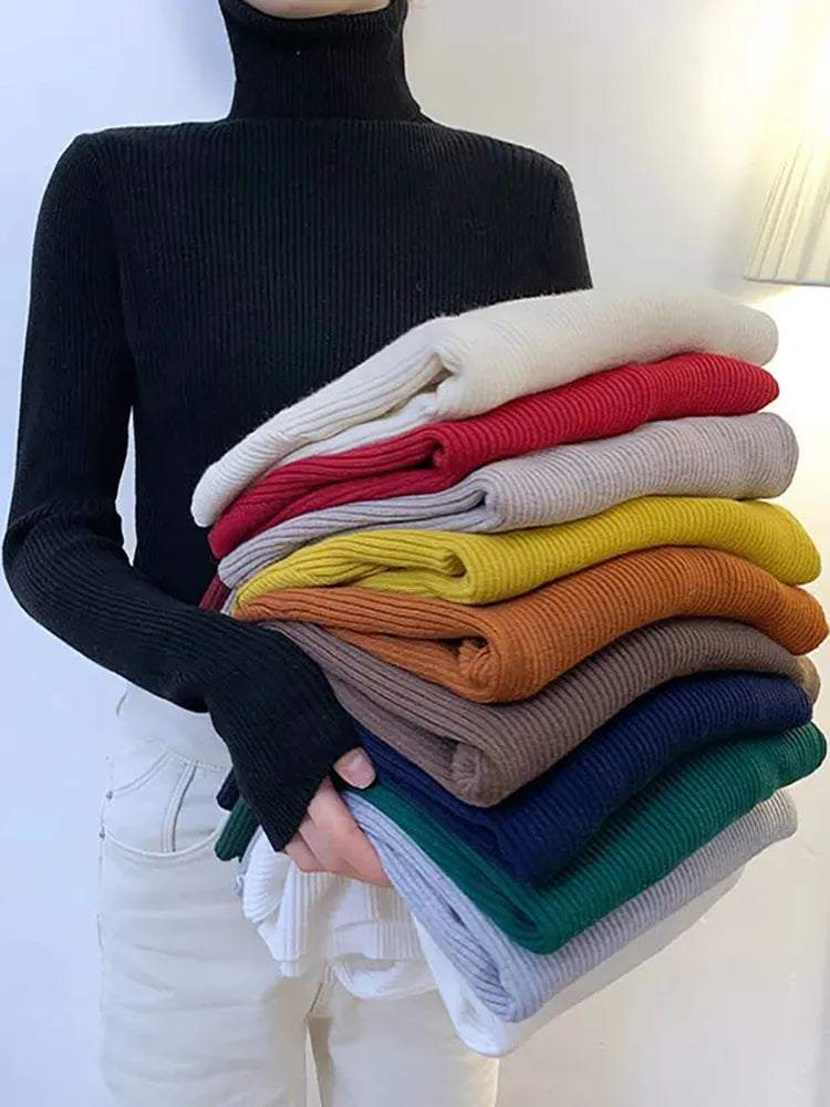 Turtleneck long sleeve Sweater Autumn